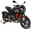 Owiewka / szyba ERMAX CAFE RACER Triumph Trident 660 2021 - 2024
